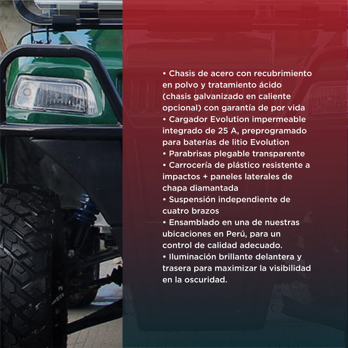 Vehículo Eléctrico Evolution Turfman 700