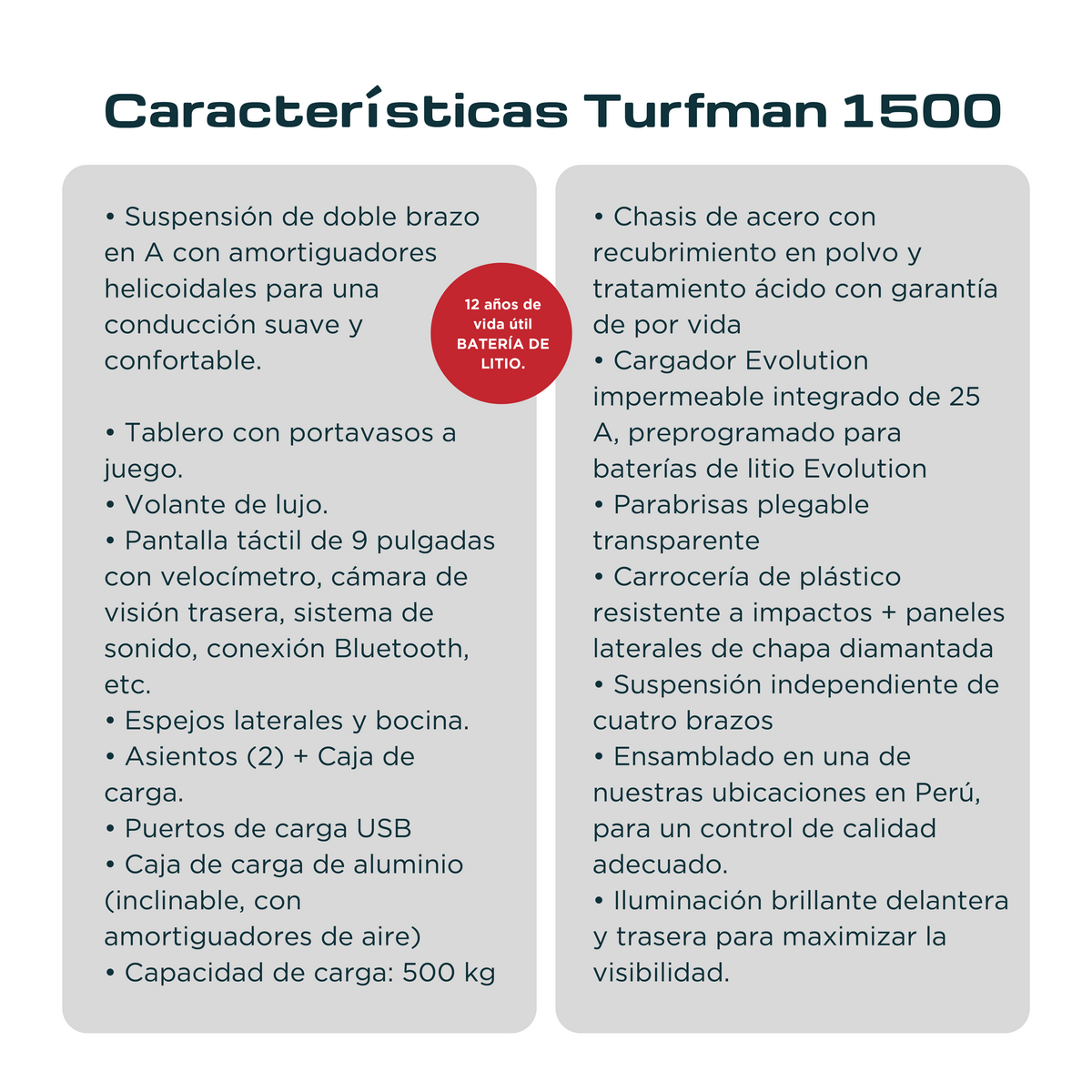 Vehículo Eléctrico Turfman 1500
