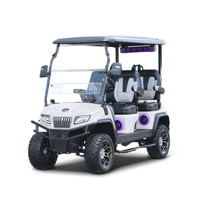 Vehículo Eléctrico Evolution D5 Series Maverick 4 Plus