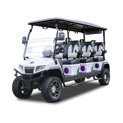 Vehículo Eléctrico Evolution D5 Series Maverick 6 Plus