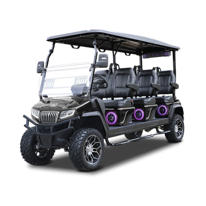 Vehículo Eléctrico Evolution D5 Series Maverick 6 Plus