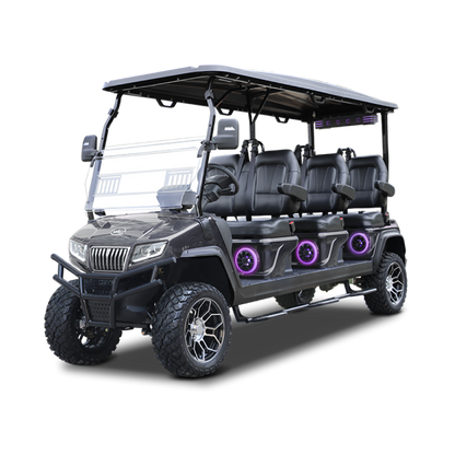 Vehículo Eléctrico Evolution D5 Series Maverick 6 Plus