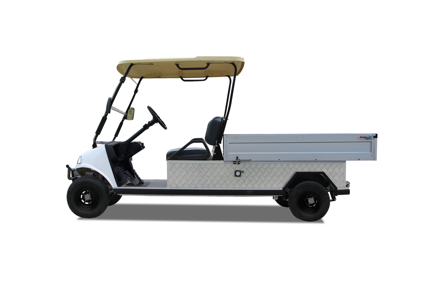 Turfman 1000 - Carritos de Golf Electromotion