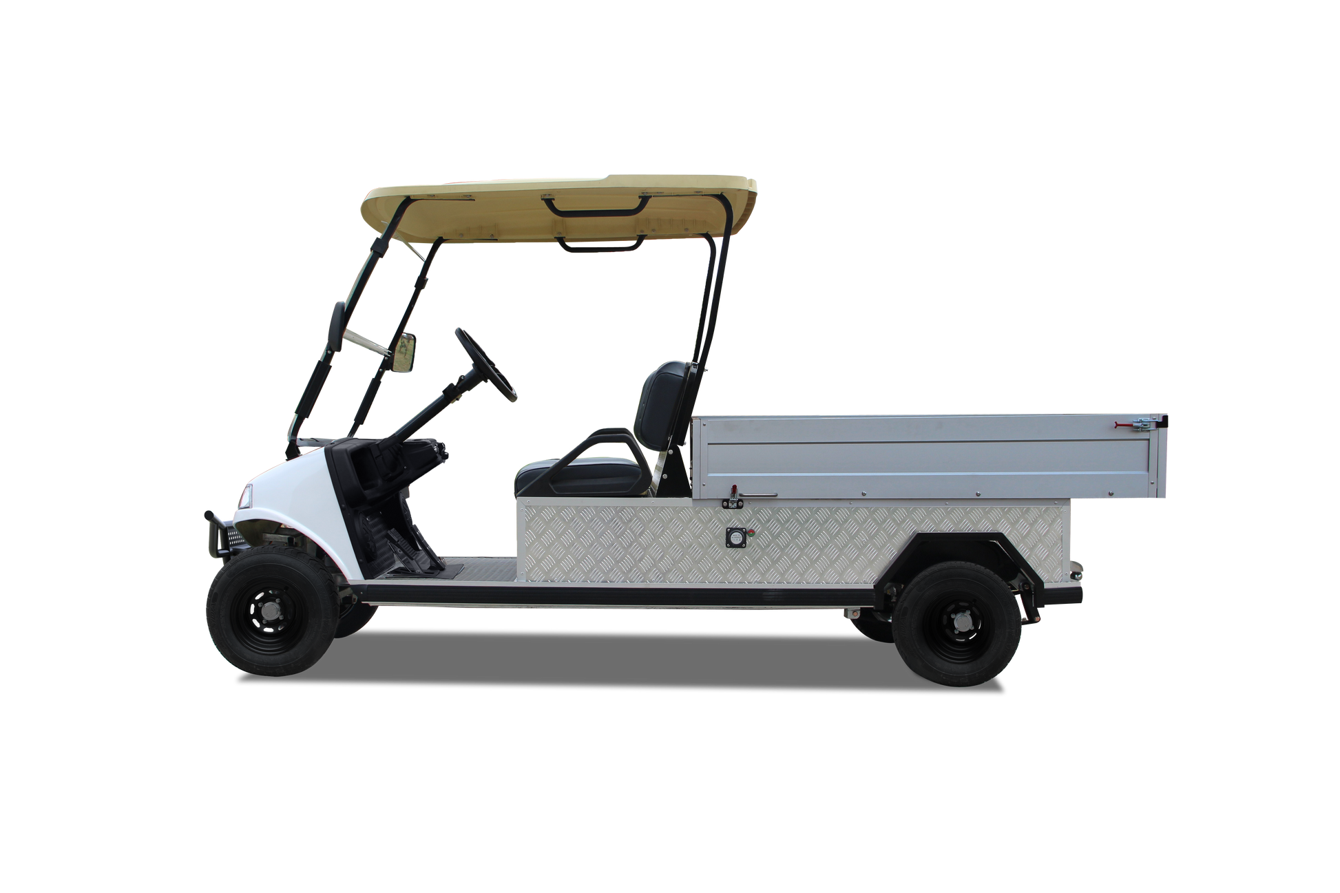 Turfman 1000 - Carritos de Golf Electromotion