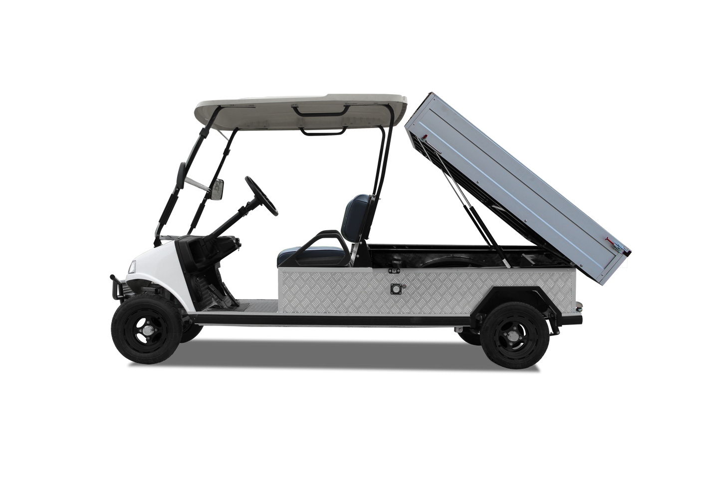 Turfman 1000 - Carritos de Golf Electromotion